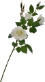 _DSC4790aaaa.JPG