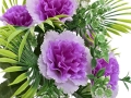 _DSC8036aa.JPG
