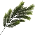 _DSC8630aaaa.JPG