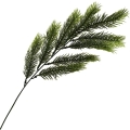 _DSC8630aaaaa.JPG