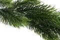 _DSC8644aa.JPG