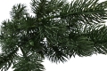 _DSC8557.JPG