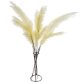 _DSC2661.JPG