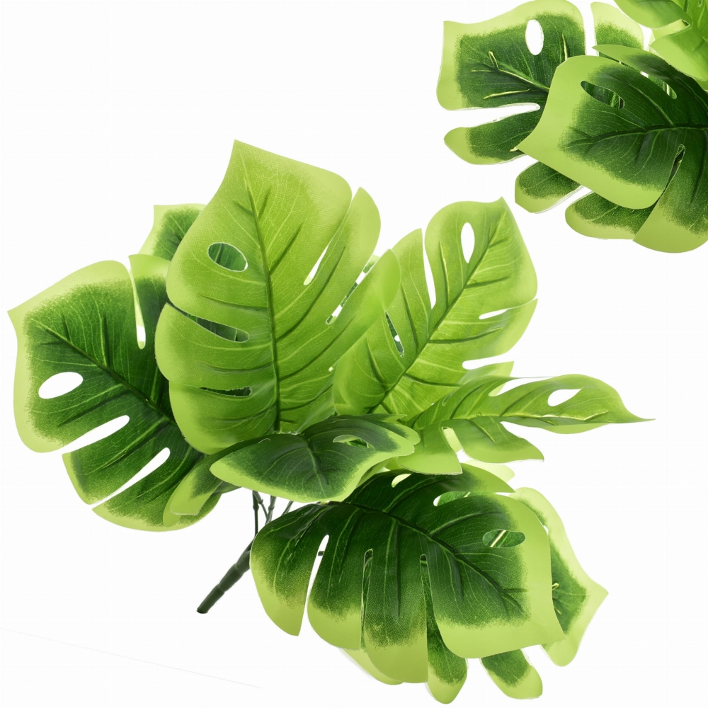 MONSTERA BUKIET LIŚCIE 35 CM