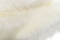 _DSC4710aaa.JPG