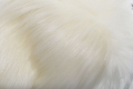 _DSC4710aaaa.JPG