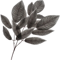 _DSC9646.JPG
