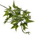 11.JPG