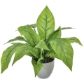 2.JPG