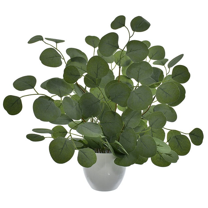 EUKALIPTUS SZTUCZNA ROŚLINA