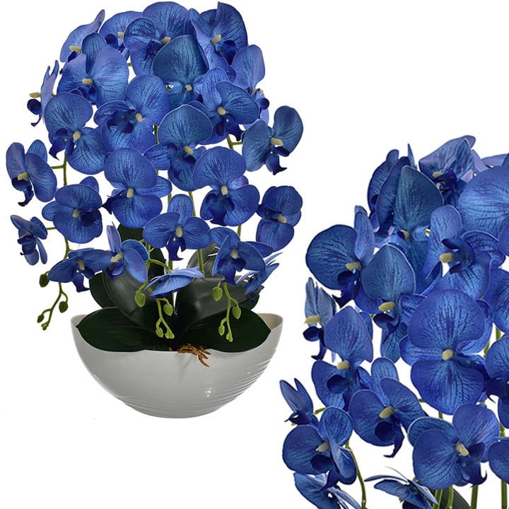 STORCZYK KOMPOZYCJA W DONICZCE