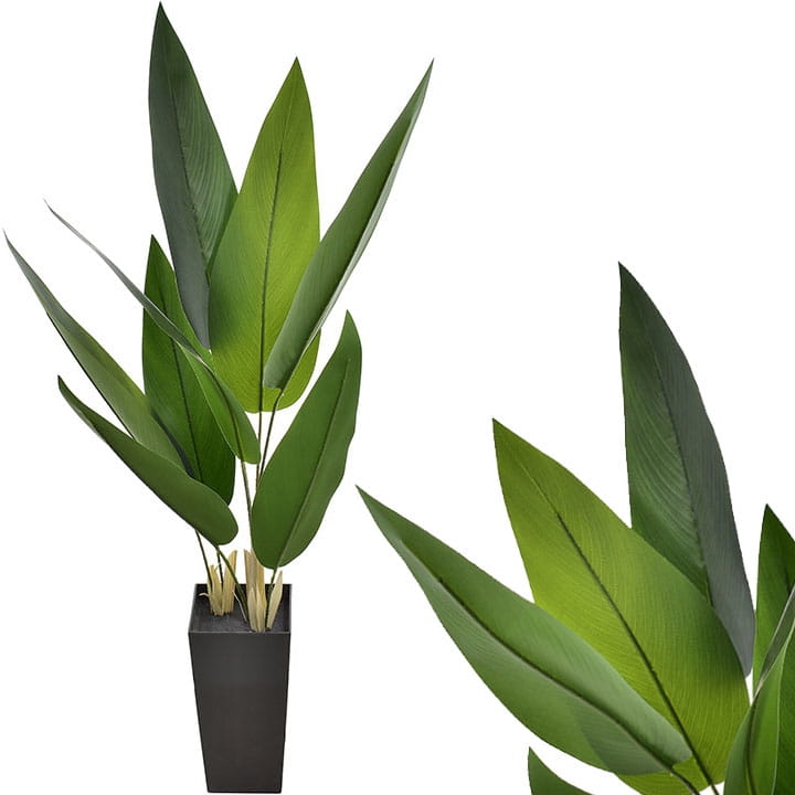 STRELICJA SZTUCZNA ROŚLINA W DONICZCE