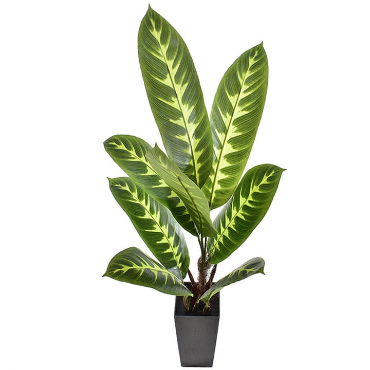 SZTUCZNA ROŚLINA W DONICZCE KOMPOZYCJA LIŚCIE PAWIE OCZKO