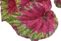 _DSC3102.JPG