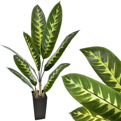 _DSC6400 - Kopia.JPG