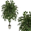 _DSC618 - Kopia.JPG