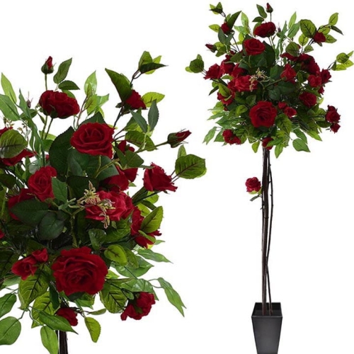 _DSC6850 - Kopia.JPG