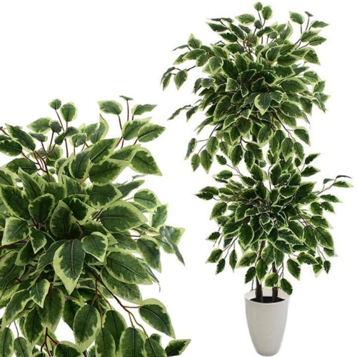 _DSC6810b - Kopia.JPG