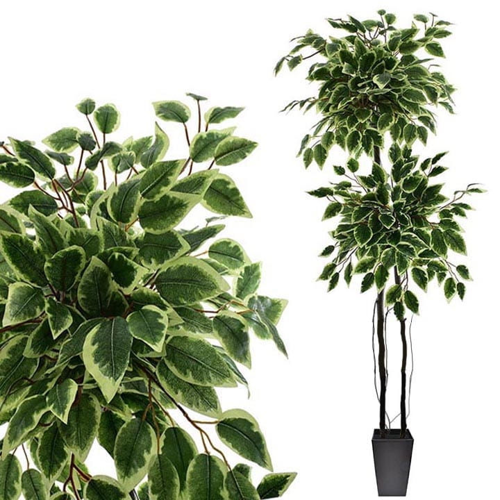 SZTUCZNE DRZEWKO BENJAMIN ROŚLINA 175 CM