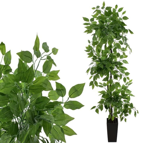 _DSC8102 - Kopia.JPG