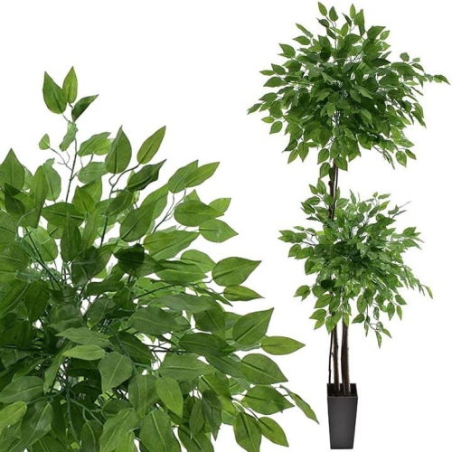 _DSC8135 - Kopia.JPG