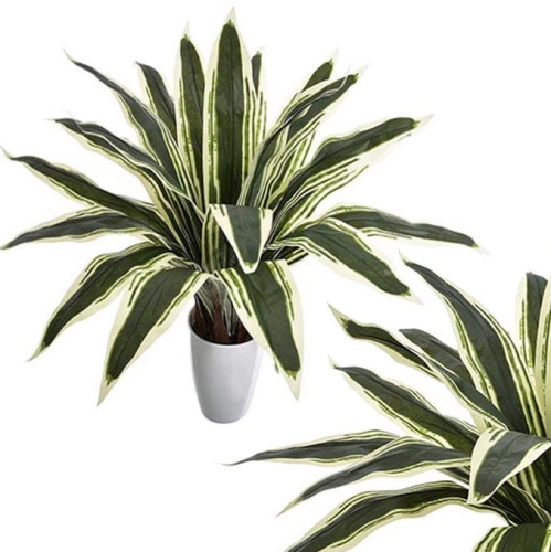 _DSC9360 - Kopia.JPG