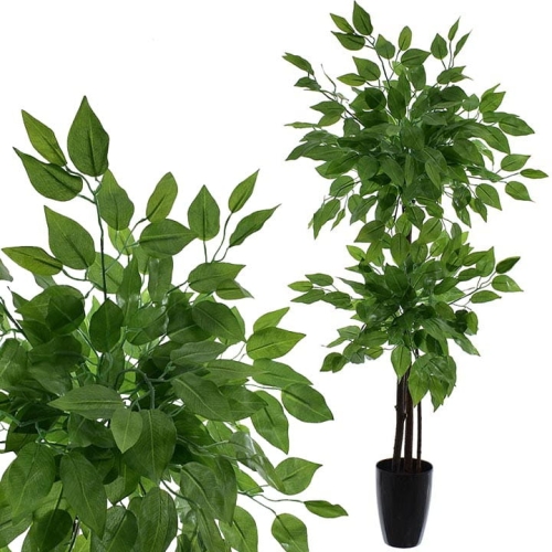 _DSC6788 - Kopia.JPG