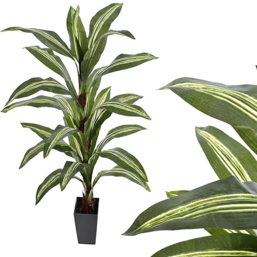 _DSC9471 - Kopia - Kopia.JPG