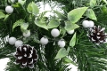 _DSC0584aa.JPG