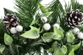 _DSC0589aa.JPG