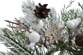 _DSC0651aa.JPG