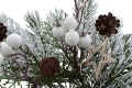_DSC0651aaaa.JPG