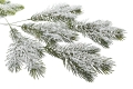 _DSC0796aa.JPG