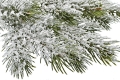 _DSC0854aaaaaa.JPG