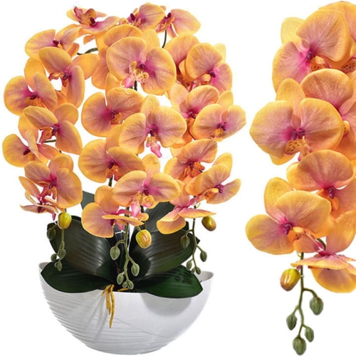 _DSC1407 - Kopia.JPG