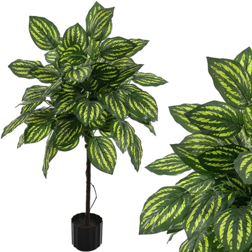 _DSC4277aaaa - Kopia.JPG