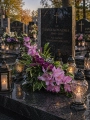 ChatGPT Image 27 kwi 2026, 13_06_44.png