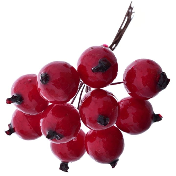 OWOCE DZIKIEJ RÓŻY 10 GAŁĄZEK