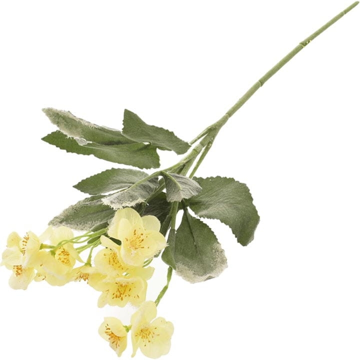 KWIAT CIEMIERNIK 55CM
