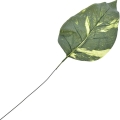 00.jpg