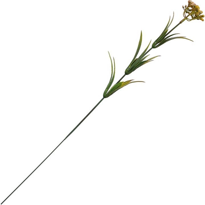 GAŁĄZKA